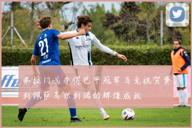 弗拉门戈夺得巴甲冠军马竞祝贺费利佩萨乌尔利诺的辉煌成就
